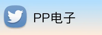 PP电子 logo